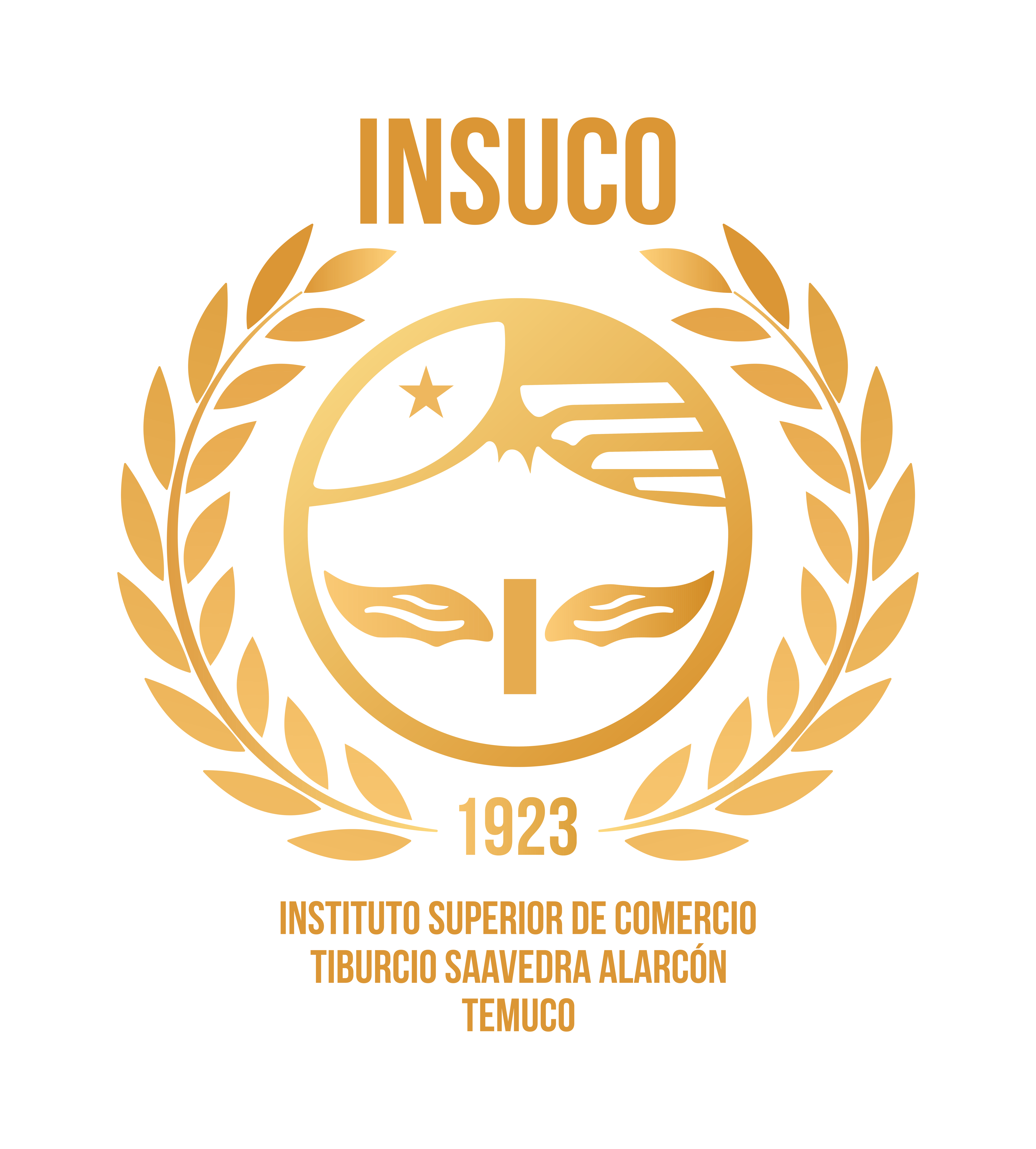 Logo Insuco
